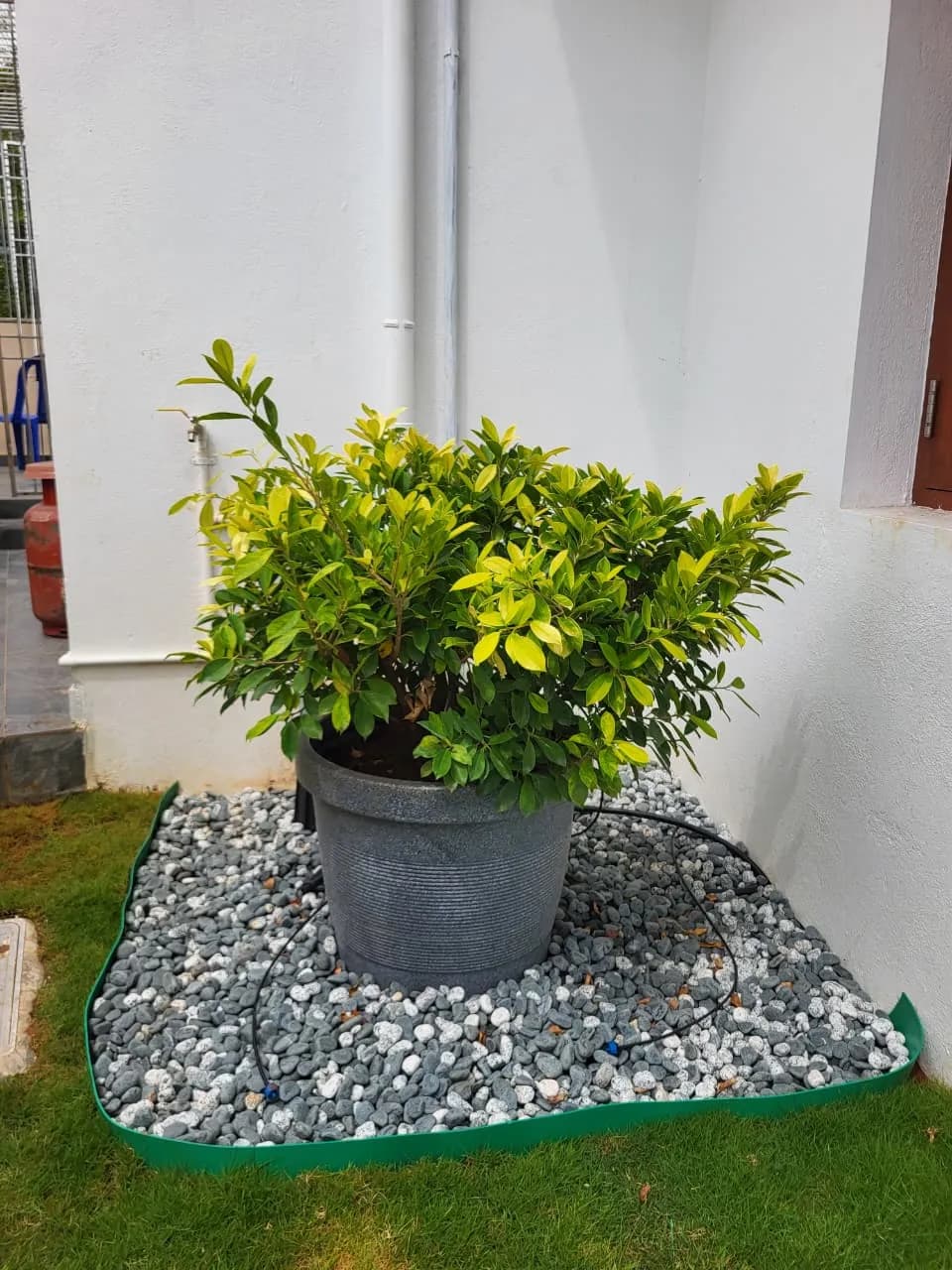 Landscape Project Phase 2