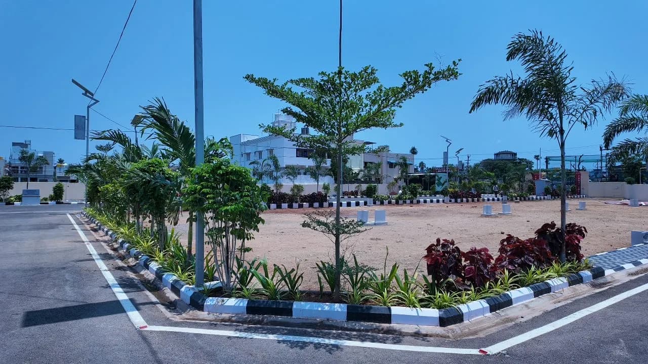 Landscape Project Phase 26