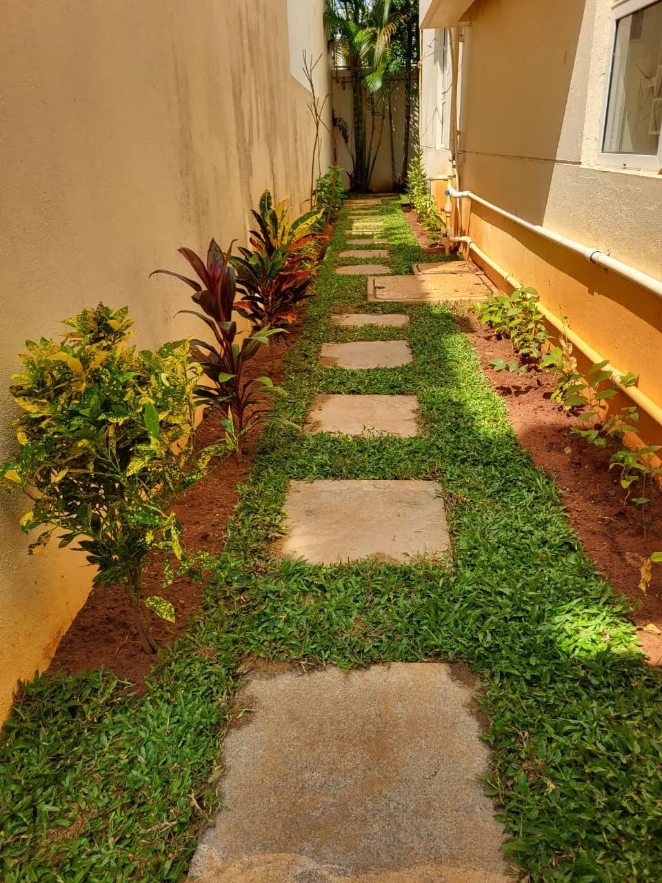 Landscape Project Phase 3