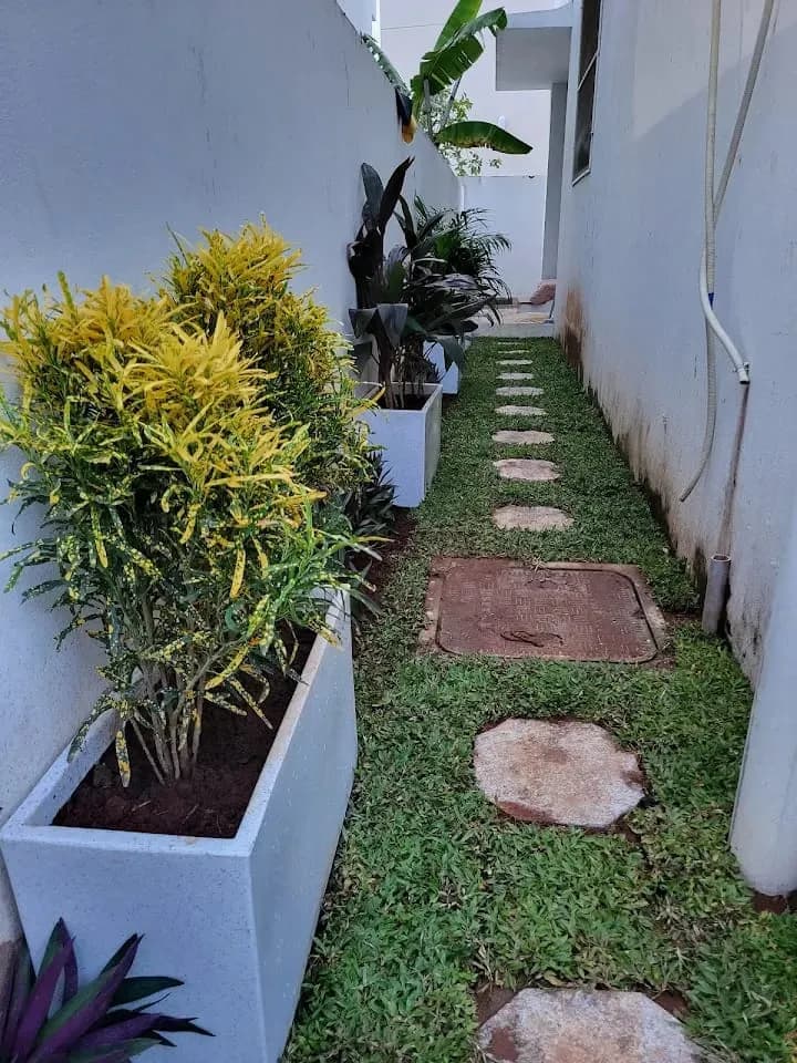 Landscape Project Phase 5