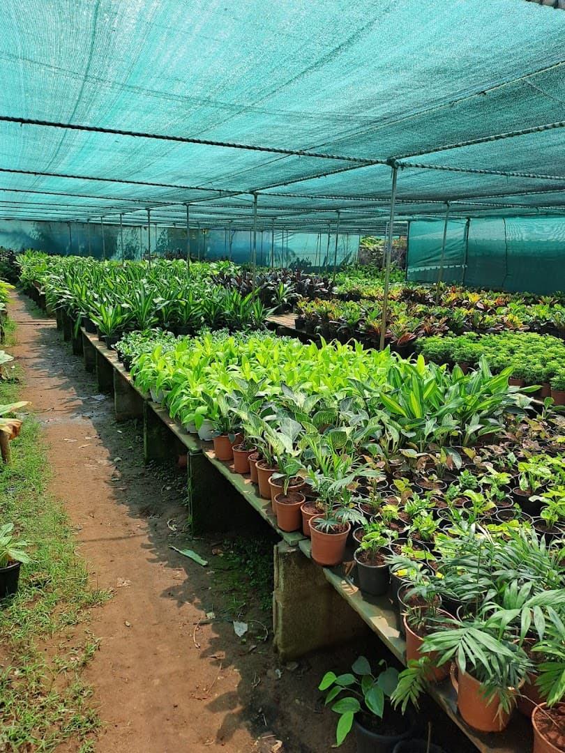 Nursery photo 1