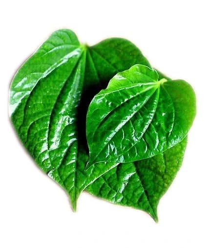 Betel