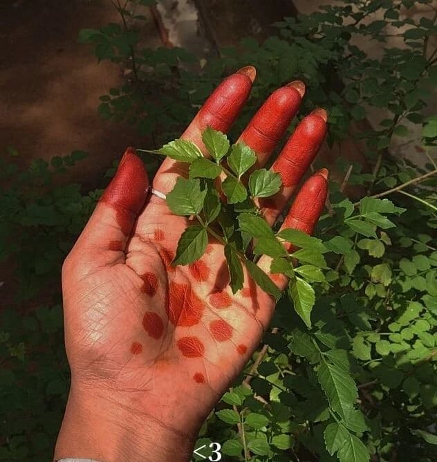Marudhani