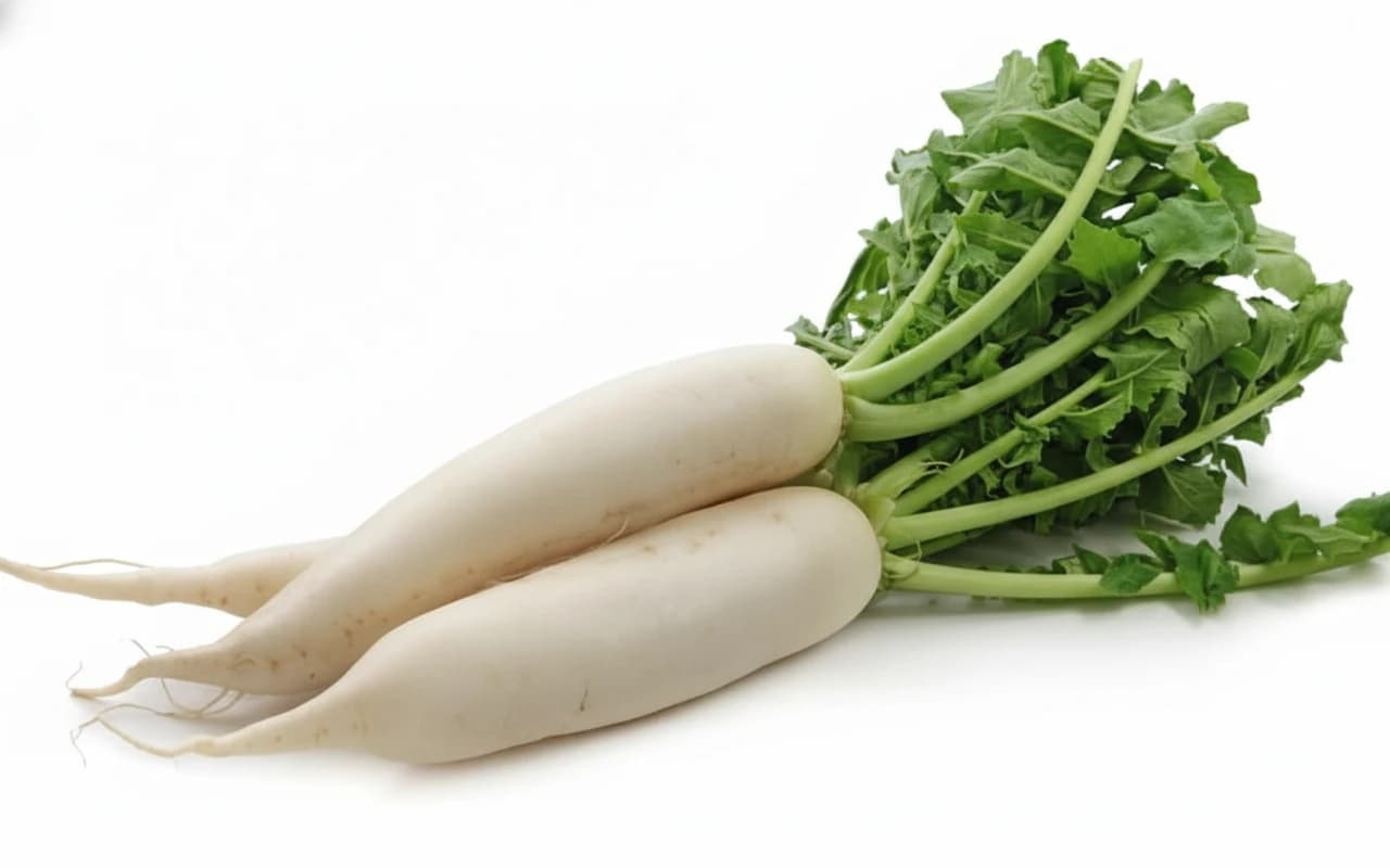 Radish Seed