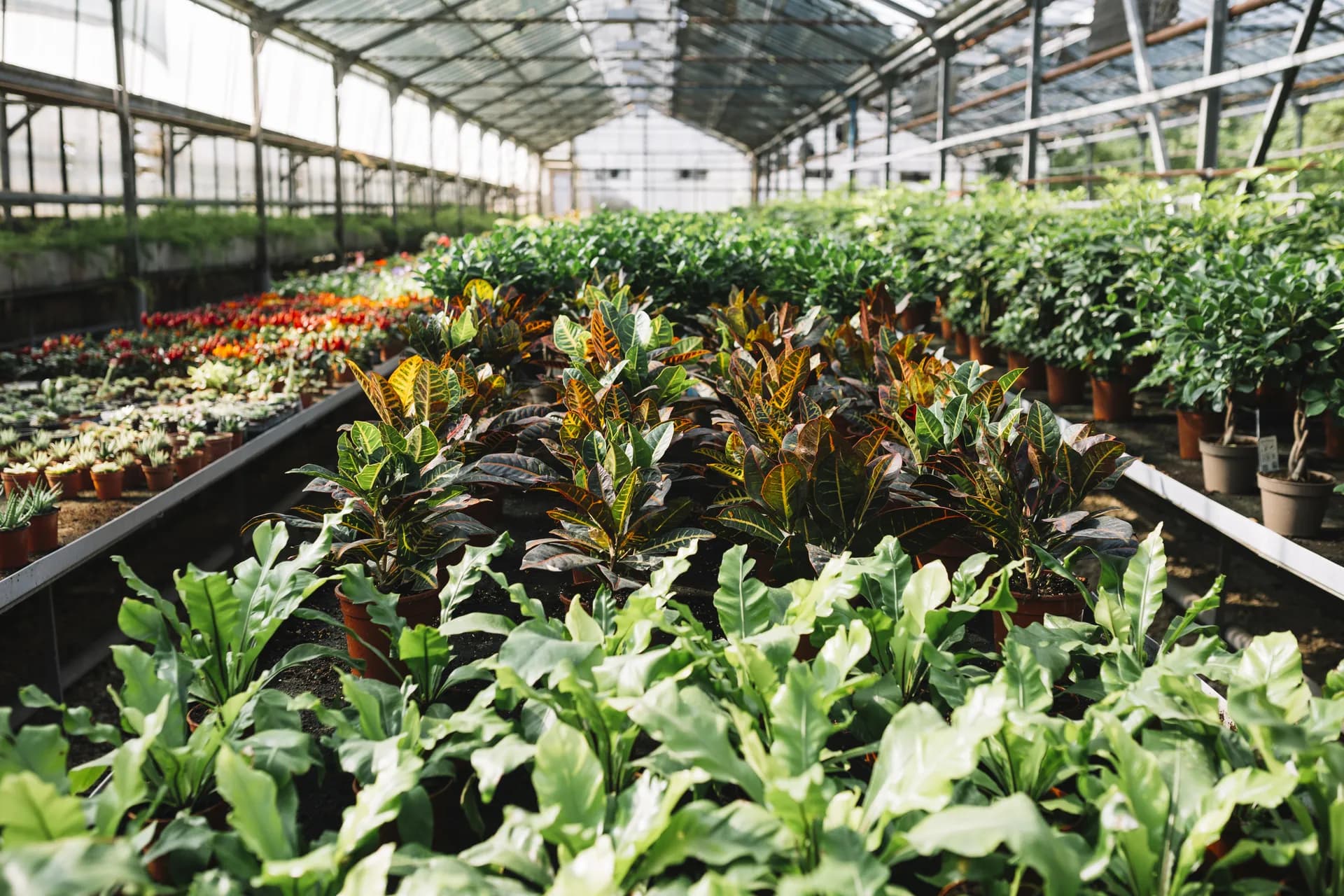 Nursery 3